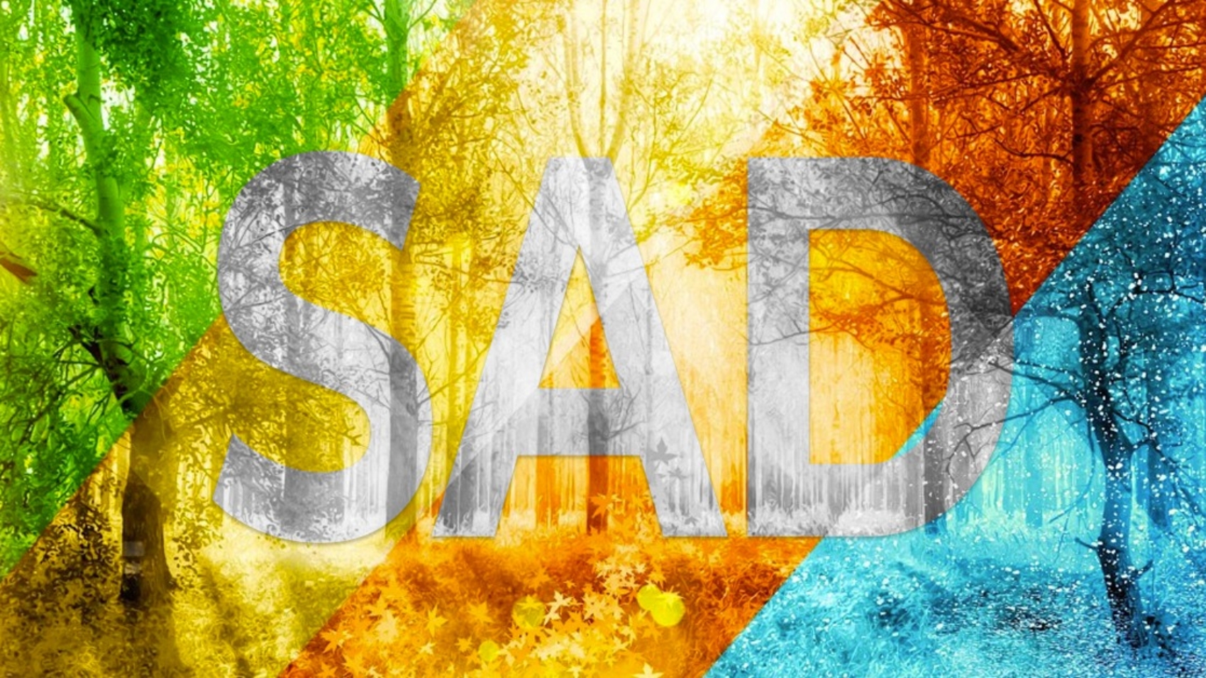 SAD written in the woods of a forest