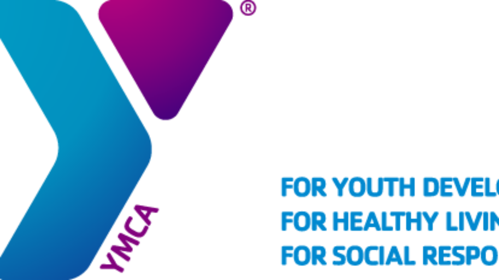 the Y logo