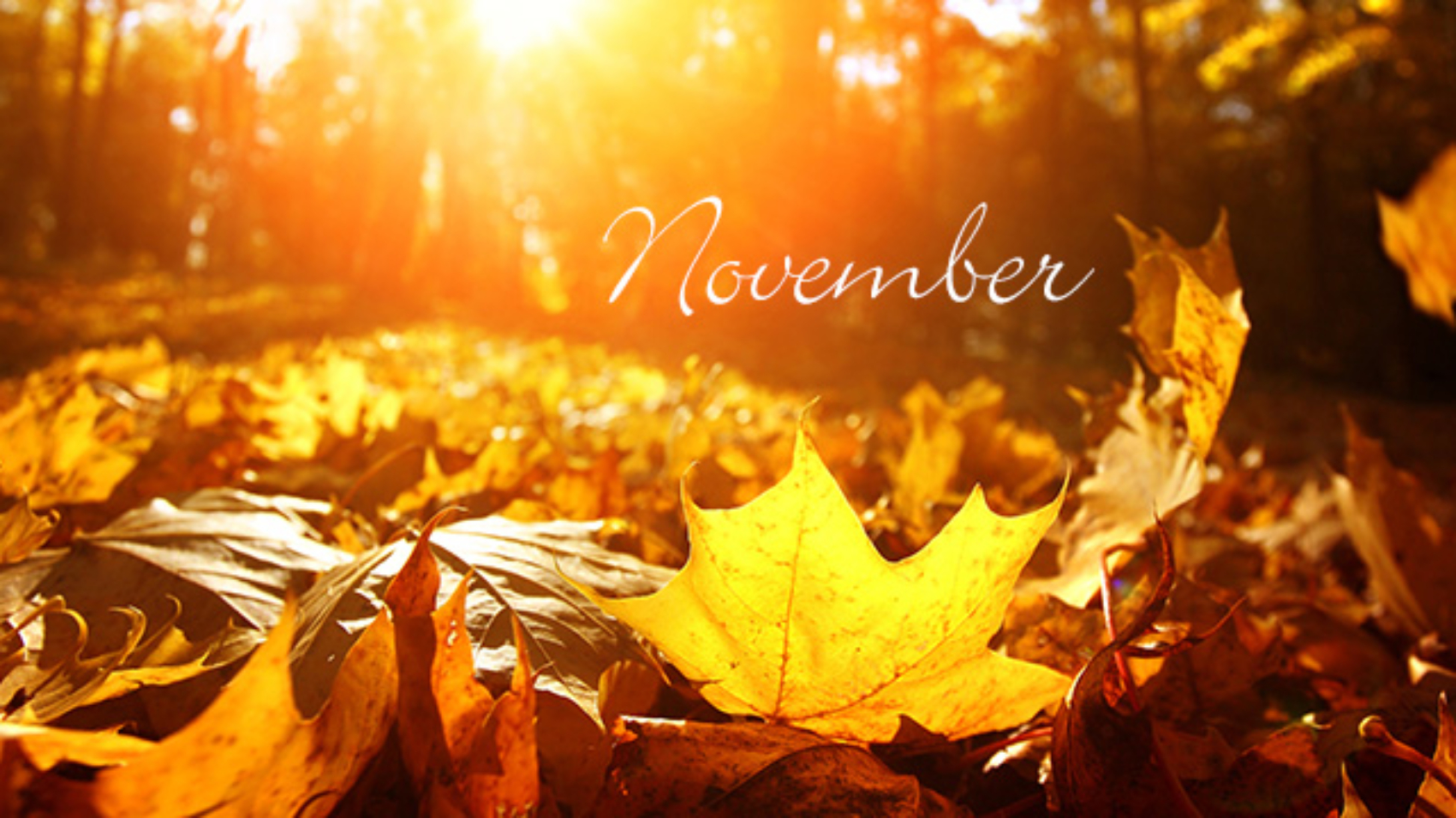 november